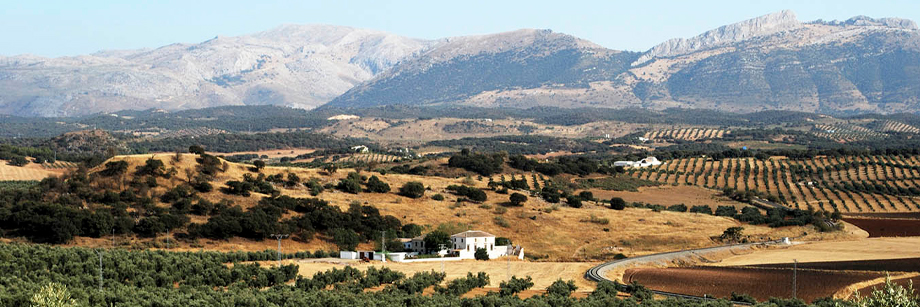 funeraria-archidona funeraria en archidona