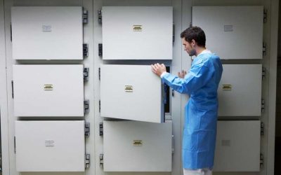 Embalsamamiento, qué es, para qué sirve y su historia en el tiempo.